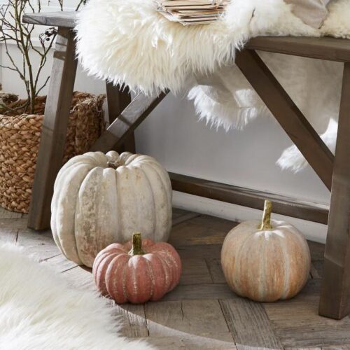 Kürbis 3er Set Pumpkin