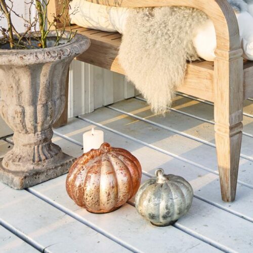 Kürbis 2er Set Courges