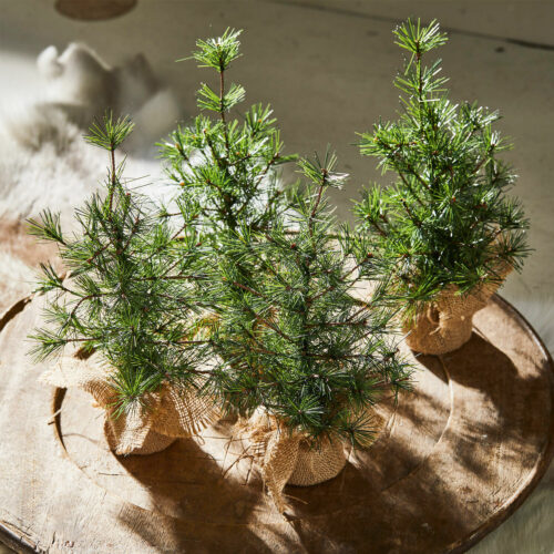 Deko-Baum 4er Set Millies - Loberon