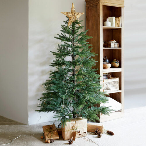 Weihnachtsbaum Lokossa - Loberon