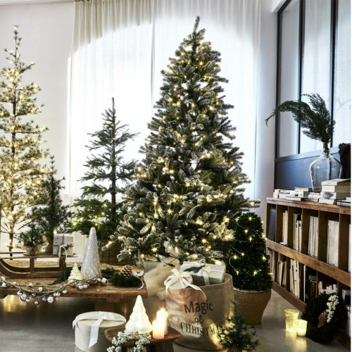 Weihnachtsbaum Mannier - Loberon