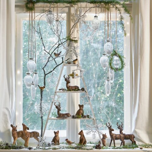 Regal Salley - Loberon