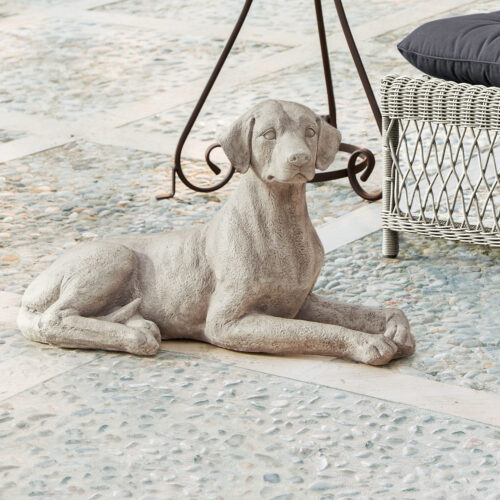 Hund Socrate - Loberon