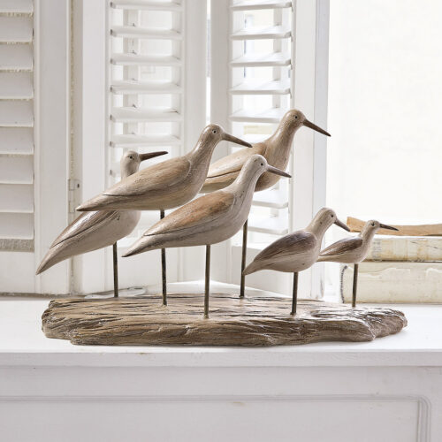 Vögel Kontreo - Loberon