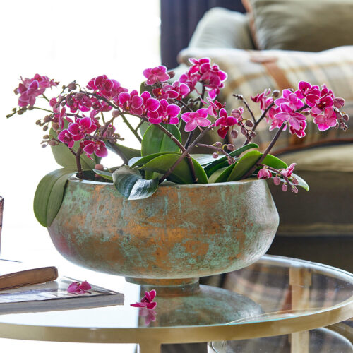 Schale Minton - Loberon