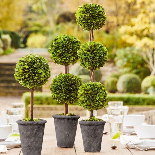 Deko-Baum Beux - Loberon