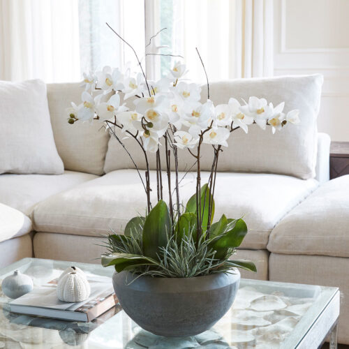 Dekoblume Balais - Loberon