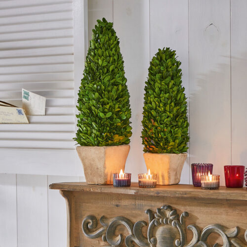 Deko-Baum 2er Set Pierry - Loberon