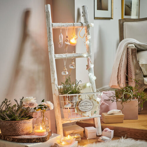 Organizer Colmoar - Loberon