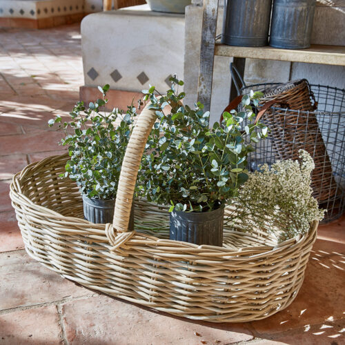 Korb Aradiou - Loberon