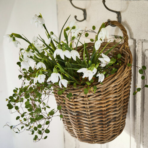 Deko-Blume 12er Set Willmare - Loberon