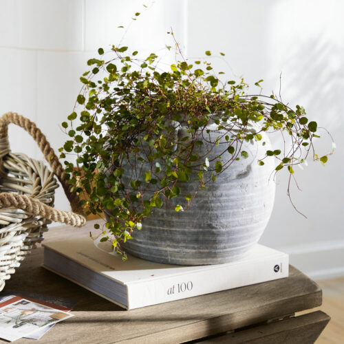 Vase Armand - Loberon