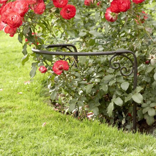 Rosenstütze Cunfin - Loberon