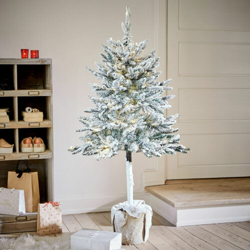 Weihnachtsbaum Deano - Loberon