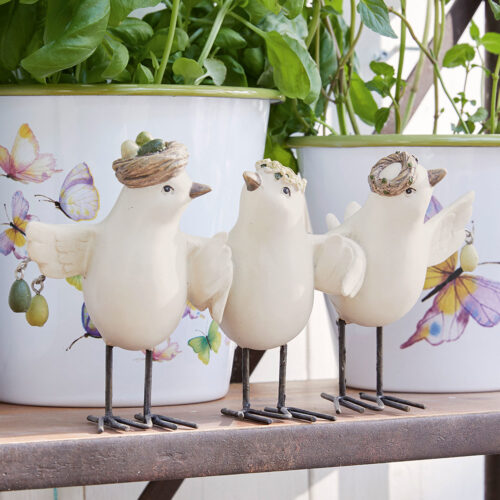 Vögel Orne - Loberon