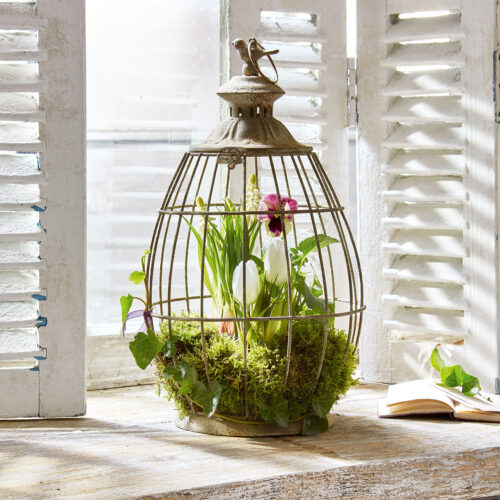 Laterne Morena - Loberon