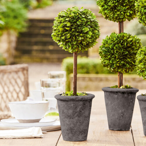 Deko-Baum Aube - Loberon