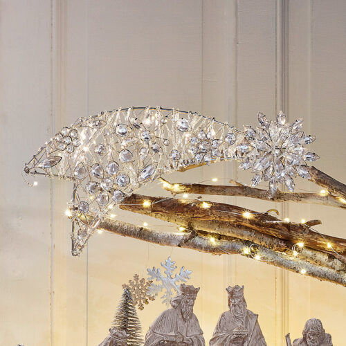 Deko-Stern Nyons - Loberon