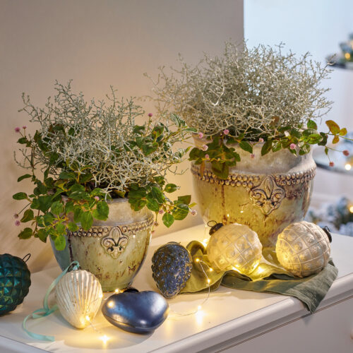 Übertopf 2er Set Montcony - Loberon