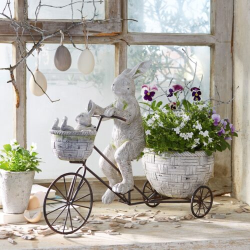 Hase Jérémie - Loberon