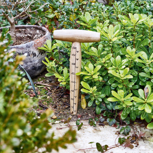 Pflanzholz Esparron - Loberon