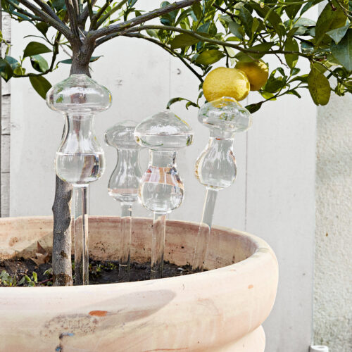 Bewässerungspilz 4er Set Suri - Loberon