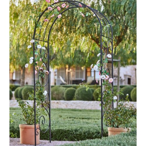 Rosenbogen Bertry - Loberon