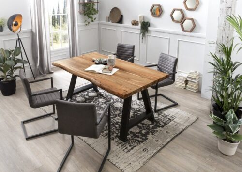 SIT 4-Fußstuhl »Schwingstuhl, 2er-Set Bezug Wildlederoptik, Gestel«