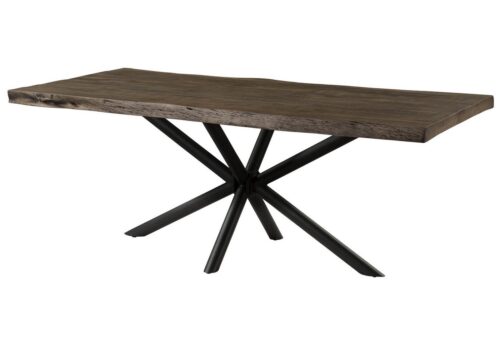 Massivmoebel24 Esstisch FREEFORM (Massivholz, Massivholztisch), Baumtisch Mango 200x100x76 grau lackiert / Kreuzgestell anthrazit matt