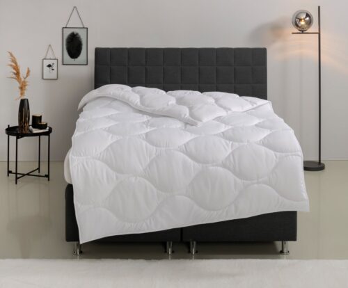 Home affaire Microfaserbettdecke Angly, Bettdecke 135x200 cm und 155x220 cm, Füllung: Polyester, Bezug: Polyester, Bettdecken, Sommer, Winter, Decke, Allergiker geeignet (Hausstaub)