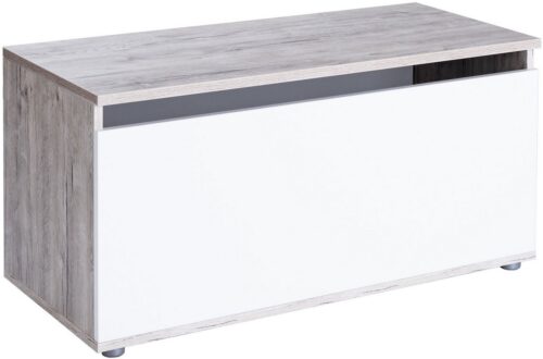 Home affaire Truhe Spielzeugkiste Rieke (1 St), 2 Gasdruckfedern zum Öffnen und Schließen, 1 großes Ablagefach