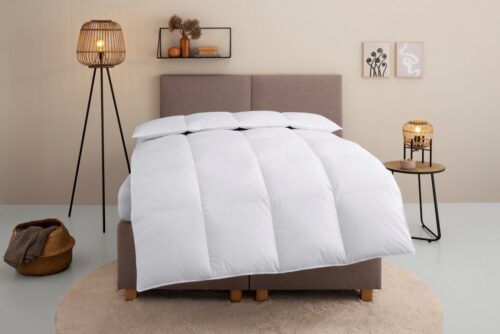 Home affaire Daunenbettdecke Chevillon Bettdecke 135x200 cm, 155x220 cm und weitere Größen, Füllung: 90% Daunen & 10% Federn, Bezug: 100% Baumwolle, Bettdecken, Sommer, Winter, Allergiker geeignet (Hausstauballergiker)