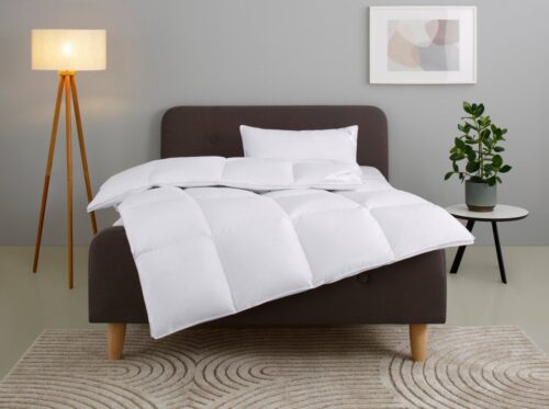 Home affaire Daunenbettdecke + Kopfkissen Litrone Bettdecke 135x200 cm, 155 x220 cm, Füllung: Gänsedaunen & Gänsefedern, Set mit Kissen 40x80 cm, 80x80 cm, Frühling, Sommer, Herbst, Winter