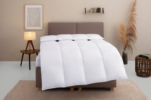 Home affaire Daunenbettdecke Marseilles Bettdecke 135x200 cm und 155x220 cm, Füllung: 100% Daunen, Bezug: 100% Baumwolle, Bettdecken, Sommer, Winter, Allergiker geeignet (Hausstauballergiker)