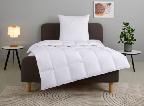 Home affaire Daunenbettdecke + Kopfkissen Litrone Bettdecke 135x200 cm, 155 x220 cm, Füllung: Gänsedaunen & Gänsefedern, Set mit Kissen 40x80 cm, 80x80 cm, Frühling, Sommer, Herbst, Winter