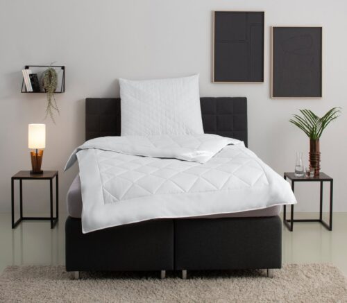 Home affaire Naturhaarbettdecke Chailley Bettdecke in 135x200 cm und 155x220 cm, Füllung: 96% Kamelhaar, 4% sonstige Faser, Bezug: 100% Baumwolle, Bettdecken, Sommer, Winter, 4 Jahreszeiten, Decke: temperaturausgleich