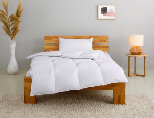 Home affaire Daunenbettdecke + Kopfkissen TAMINS, Bettdecke 135x200 cm und 155x220 cm, 2-tlg., Füllung: 100% Daunen, Bezug: 100% Baumwolle, Set mit Kissen 40x80 cm, 80x80 cm, Sommer, Winter, Made in Germany