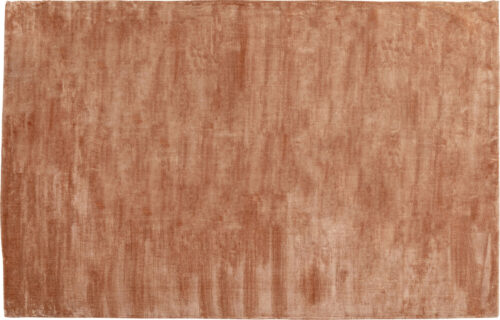 Teppich Cosy Braun 200x300cm