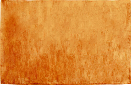 Teppich Cosy Orange 170x240cm